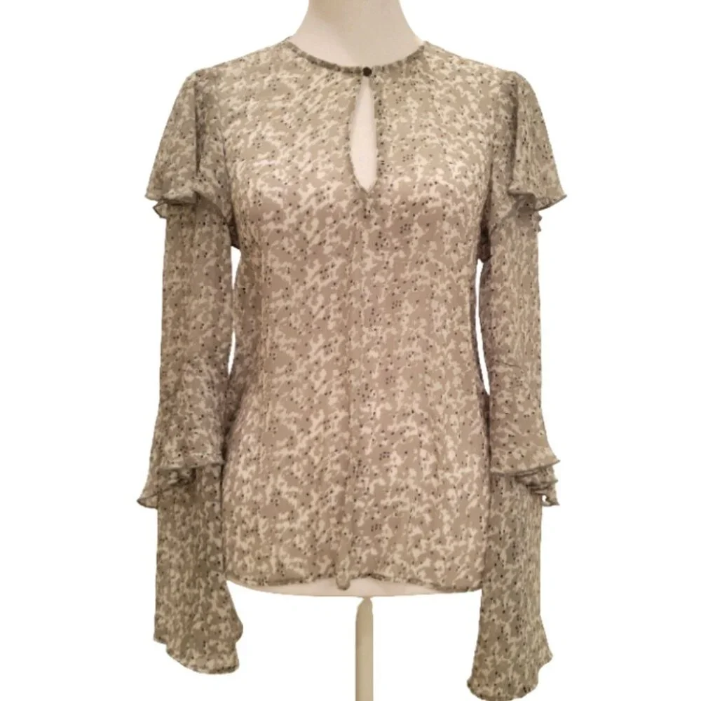 H&M Sheer Ruffle Sleeve Blouse – Totally Spring Ready ! - Picture 1 of 12